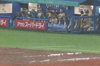 　雨の中、試合再開を待つ阪神ベンチ（撮影・金田祐二）