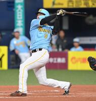 　８回、左越えソロを放った大山（撮影・市尻達拡）