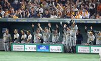 　４回、木浪の走者一掃の適時二塁打で喜ぶ阪神ナイン（撮影・金田祐二）