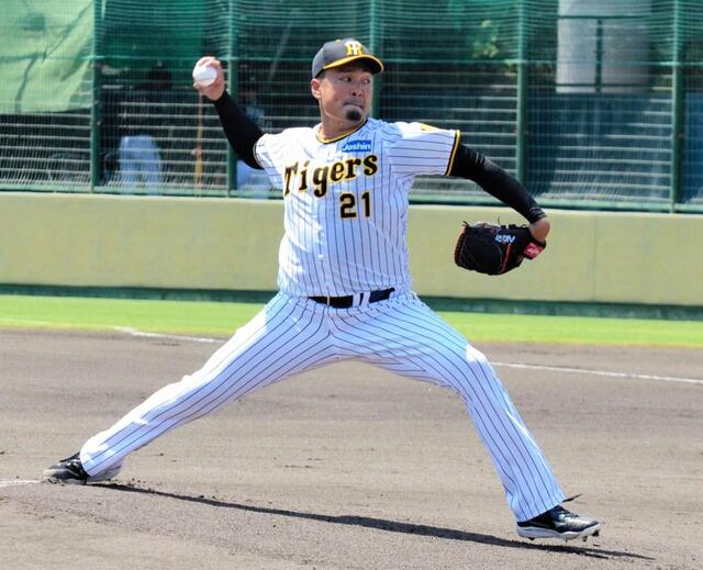 ドリームオーダー　阪神　シリアル　勝負師　梅野 ドリームオーダー プロモ シリアル 勝負師 阪神タイガース 梅野