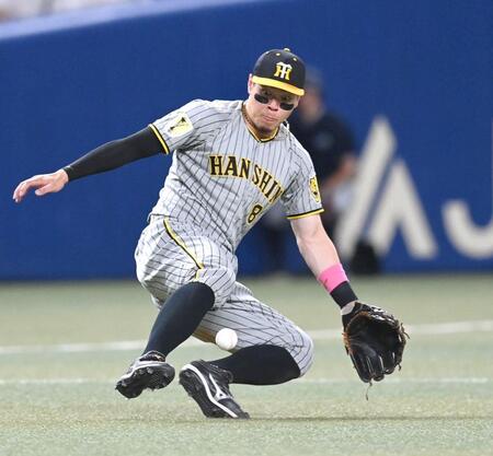 　１２回、細川の打球を好捕する佐藤輝（撮影・飯室逸平）