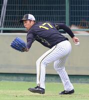 　キャッチボールする青柳（撮影・山口登）