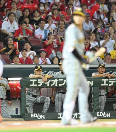 　７回、送りバントを失敗した木浪を見つめる岡田監督（撮影・市尻達拡）