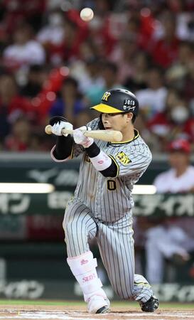 　７回、スリーバントを失敗する木浪（撮影・立川洋一郎）