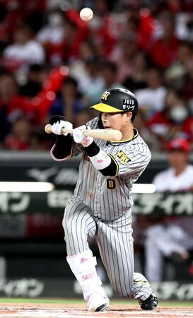 　７回、スリーバントを失敗する木浪（撮影・立川洋一郎）