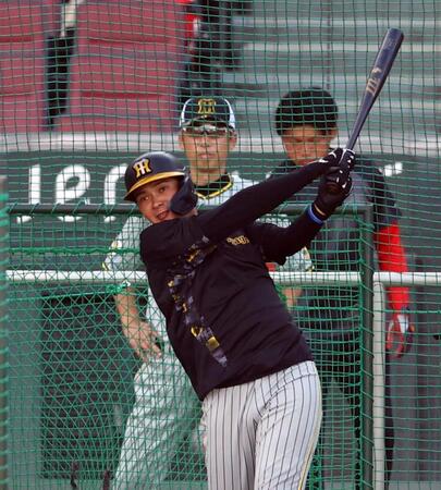 　打撃練習する井上（撮影・山口登）