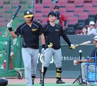 　打撃練習をする森下（撮影・立川洋一郎）