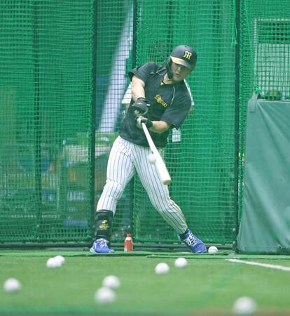 　打撃練習をする前川（撮影・中田匡峻）