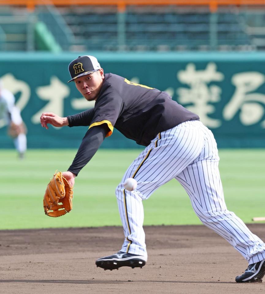 　ノックの打球を追う佐藤輝（撮影・立川洋一郎）