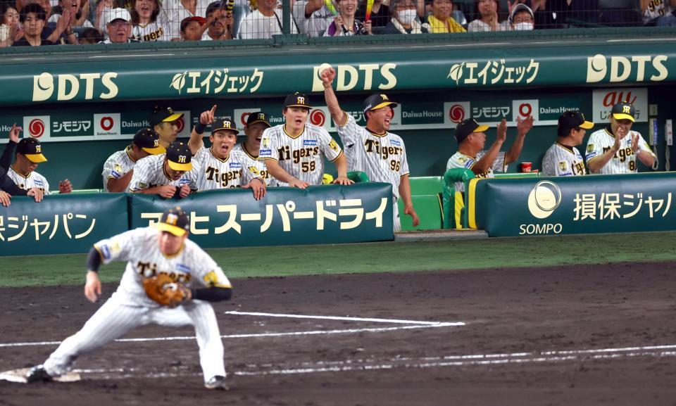 　巨人に勝利し喜ぶ岡田監督（右端）ら阪神ナイン（撮影・山口登）