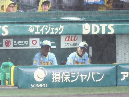 　８回表、雨が強まり試合が中断。ベンチでグラウンドの様子をうかがう岡田監督（右）＝撮影・立川洋一郎