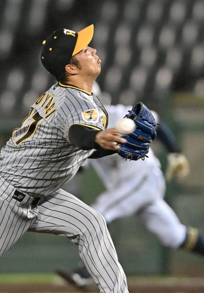 　先発し力投する青柳（撮影・北村雅宏）