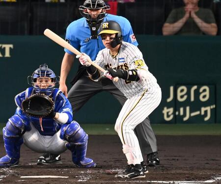 　２回、送りバントの構えを見せる梅野（撮影・飯室逸平）