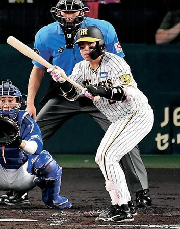 ２回、送りバントのかまえをみせる梅野（撮影・飯室逸平）