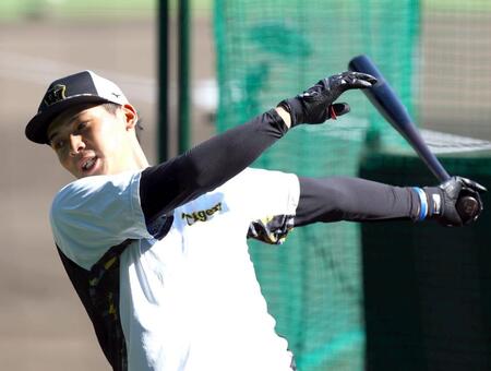 　打撃練習する井上（撮影・山口登）