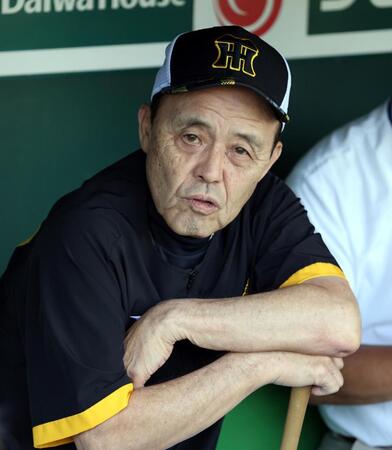 　ベンチから練習を見守る岡田監督（撮影・山口登）