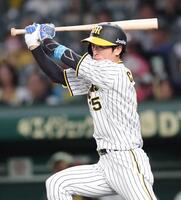 　１回、左前打を放つ近本（撮影・田中太一）