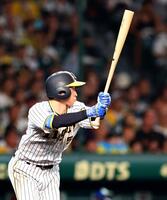 　４回、左前打を放つ近本（撮影・山口登）