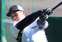 　打撃練習をする井上（撮影・立川洋一郎）