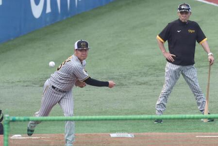 　岡田監督が見る中、ブルペンで投げ込む西勇（撮影・田中太一）