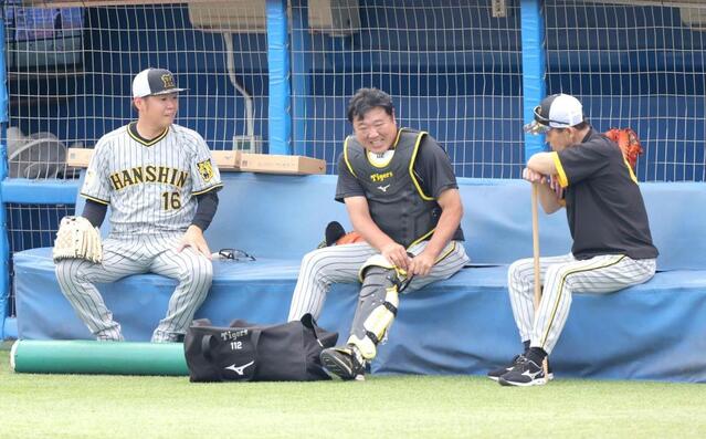 阪神タイガース　岡田彰布監督　ボブルヘッド 阪神 岡田監督がノックバットでボールを打つレアシーン 西勇のブルペン