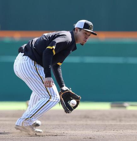 　ノックを受ける佐藤輝（１０日）