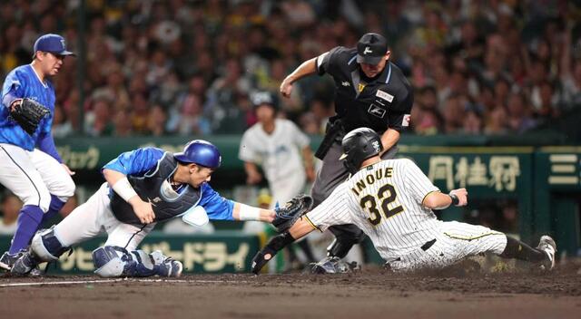 阪神・井上“神の左手” セーフティースクイズで本塁突入「一生