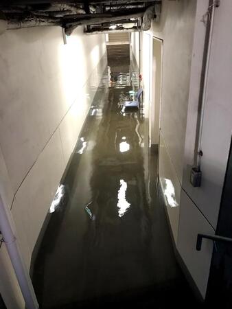 　豪雨で浸水した三塁側通路（撮影・田中太一）