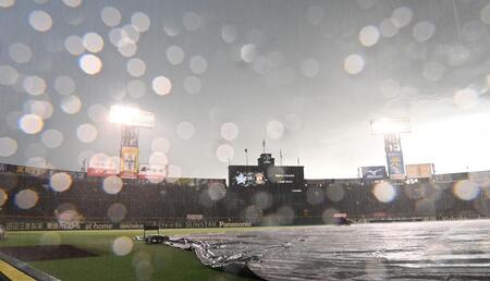 　雨が降り注ぐ甲子園（撮影・田中太一）