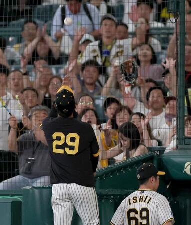 　ウイニングボールを客席へ投げ入れる高橋（撮影・田中太一）