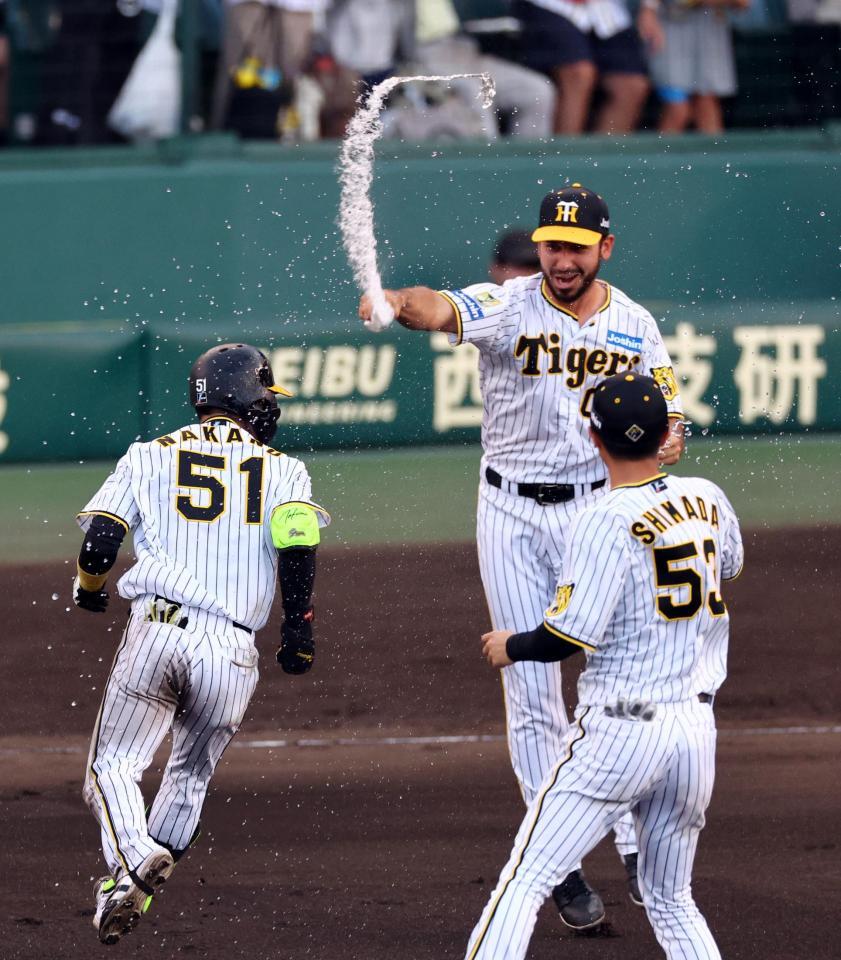 　サヨナラ勝利し、中野を祝福するゲラ＝１４日、甲子園