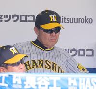 　試合を見つめる岡田監督（撮影・吉澤敬太）