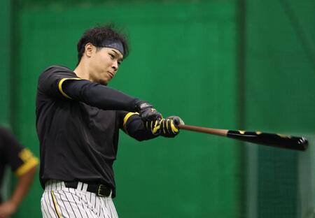 素振りをする阪神・佐藤輝明＝甲子園（撮影・中田匡峻）