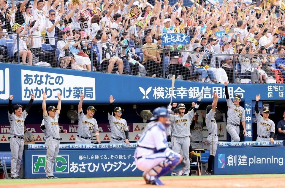 　３回、井上の３ランに大喜びの阪神ベンチと阪神ファン（撮影・吉澤敬太）