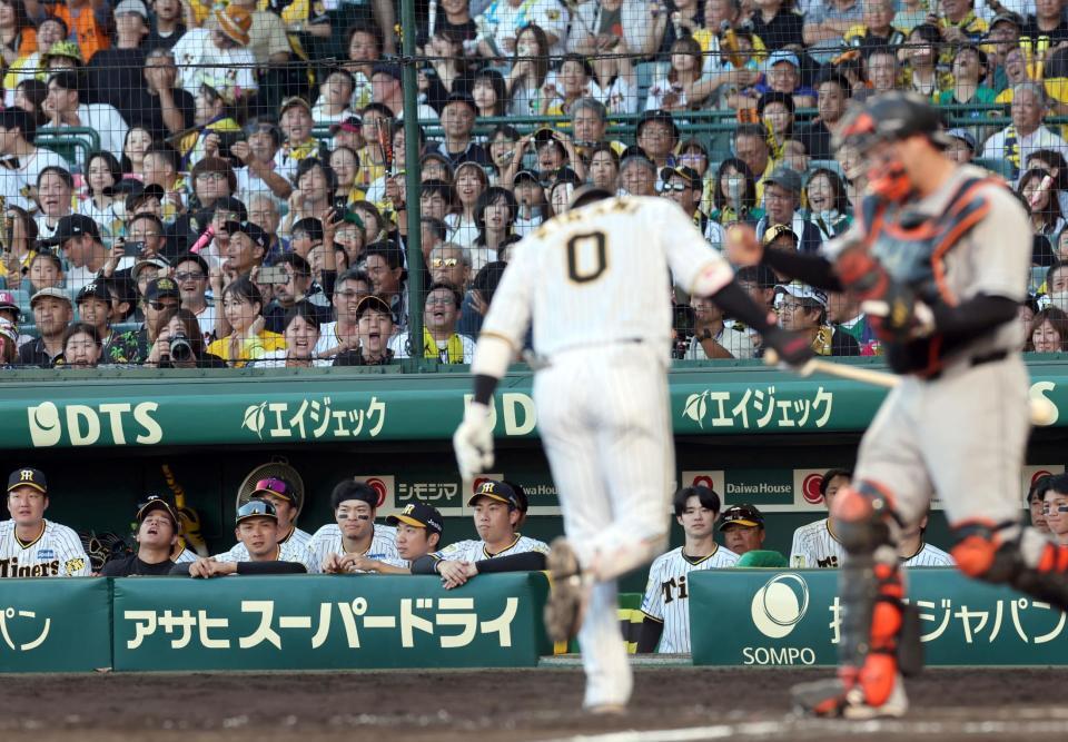 　巨人に完封され、悔しがる阪神ナイン（撮影・田中太一）