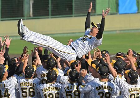 　引退セレモニーでナインに胴上げされる秋山（撮影・北村雅宏）