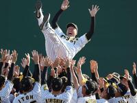 　ナインに胴上げされる阪神・秋山（撮影・中田匡峻）