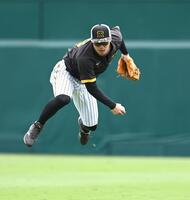 　ライトでフリー打撃の打球を追う佐藤輝（撮影・飯室逸平）