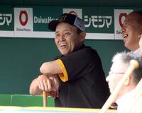 　穏やかな表情で練習を見る岡田監督（撮影・田中太一）