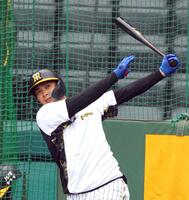 　打撃練習する井上（撮影・山口登）