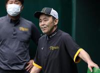 　ベンチからグラウンドを見つめる岡田監督（撮影・中田匡峻）