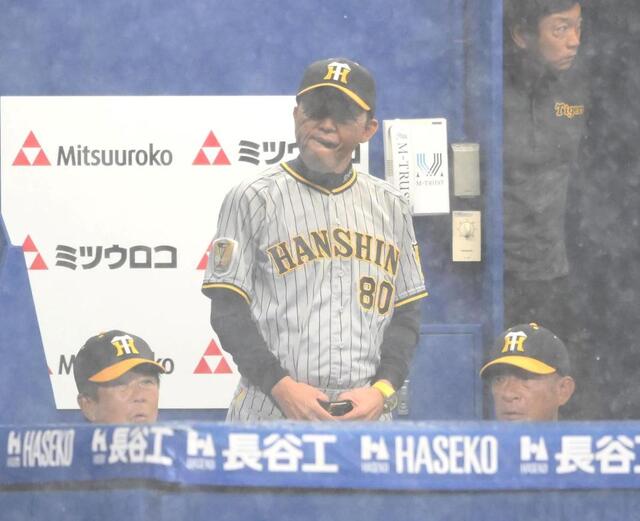 阪神 近本が死球受けた直後に試合中断 ケイの変化球が抜けて右 阪神 近本が死球受けた直後に試合中断 ケイの変化球が抜けて右