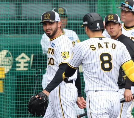 　シート打撃で打ち取った佐藤輝（８）と言葉を交わすゲラ（撮影・中田匡峻）