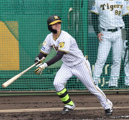 　シート打撃を行う中野（撮影・中田匡峻）