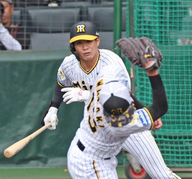 阪神タイガース 木浪聖也選手 未使用バット 阪神タイガース 木浪聖也