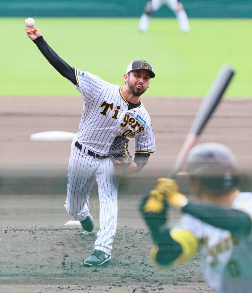 　シート打撃に登板し佐藤輝と対するゲラ（撮影・立川洋一郎）