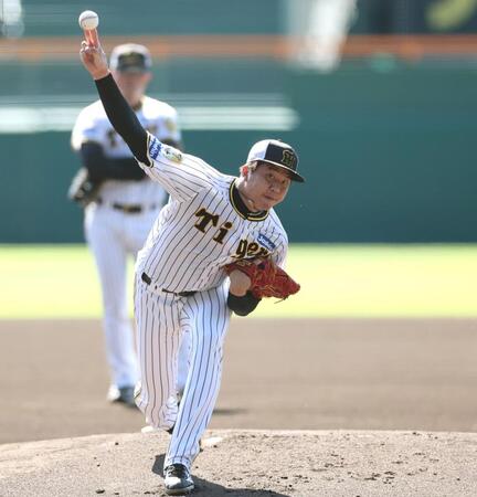 　甲子園のマウンドで投げ込む才木（撮影・田中太一）