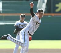 　甲子園のマウンドで投げ込む才木（撮影・田中太一）