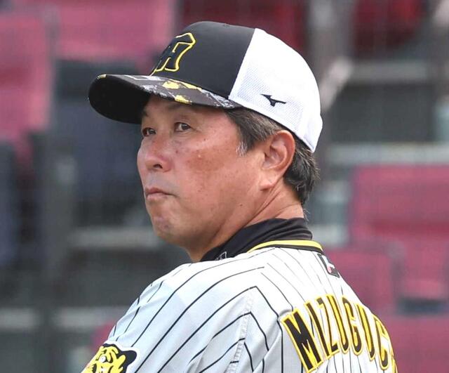 阪神発表 水口打撃コーチが今季限りで退団 2シーズン、岡田体制を