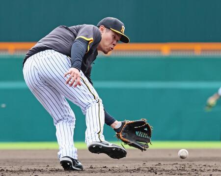 　ノックの打球を追う佐藤輝（撮影・立川洋一郎）